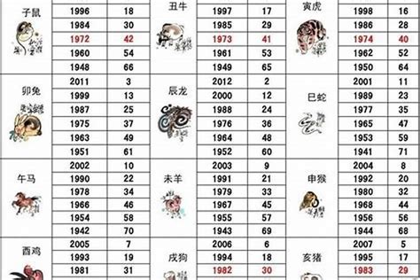 1996 屬什麼|1996年1月出生属什么生肖